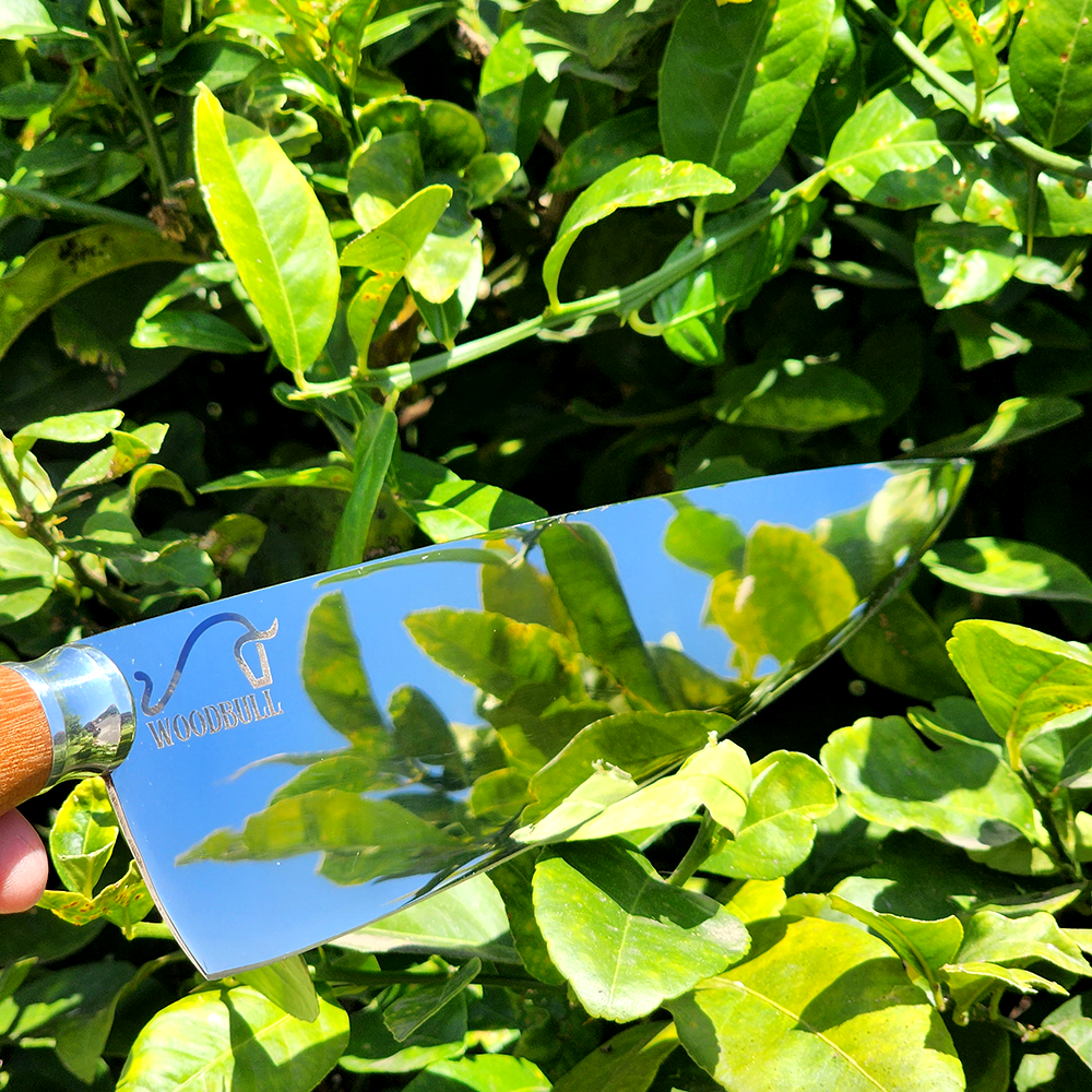 Faca Aço Inox Personalizada Artesanal para Churrasco 9 Pol